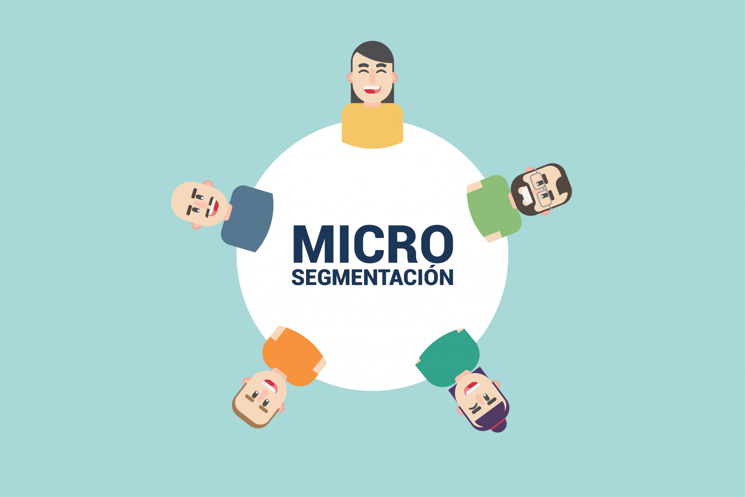 que es microsegmentación